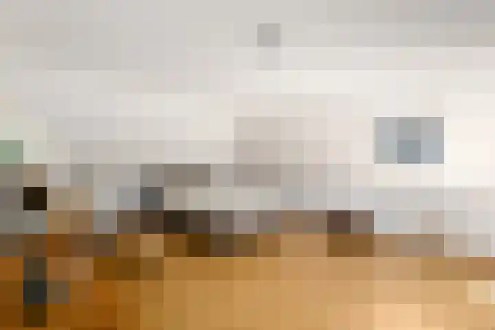 Himellof 6 Buitenpost thumbnail 24