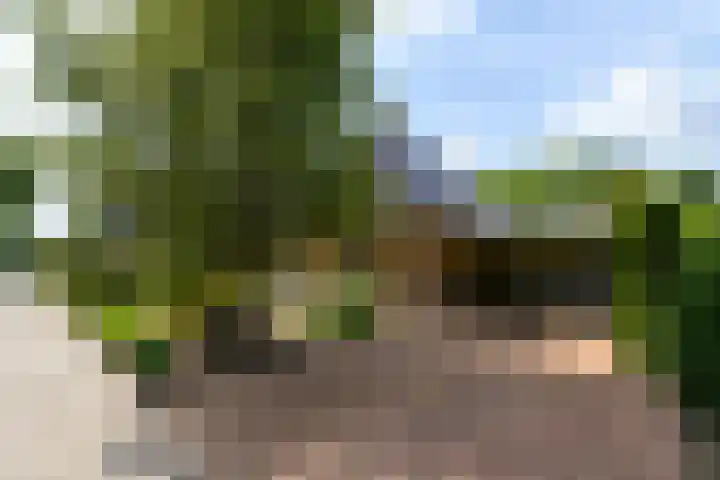 Himellof 6 Buitenpost foto 3