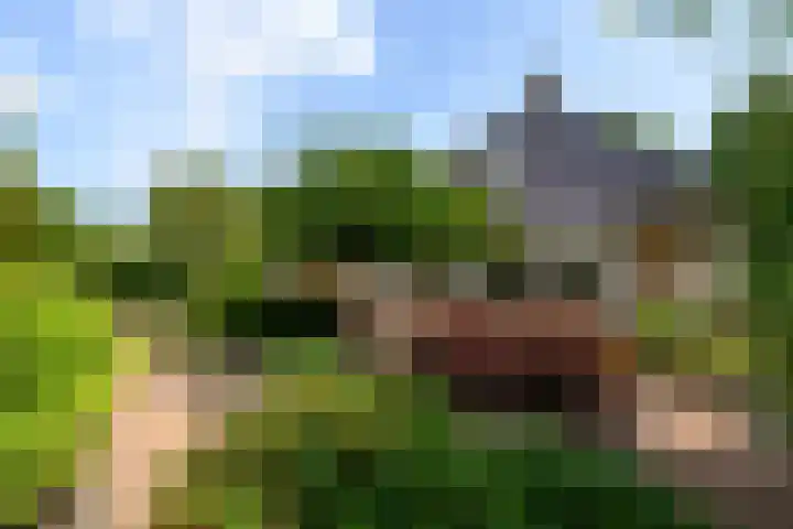 Himellof 6 Buitenpost thumbnail 35