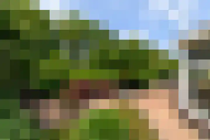 Himellof 6 Buitenpost thumbnail 37