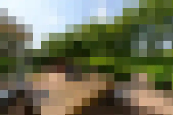 Himellof 6 Buitenpost thumbnail 38