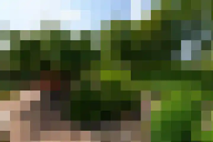 Himellof 6 Buitenpost thumbnail 39