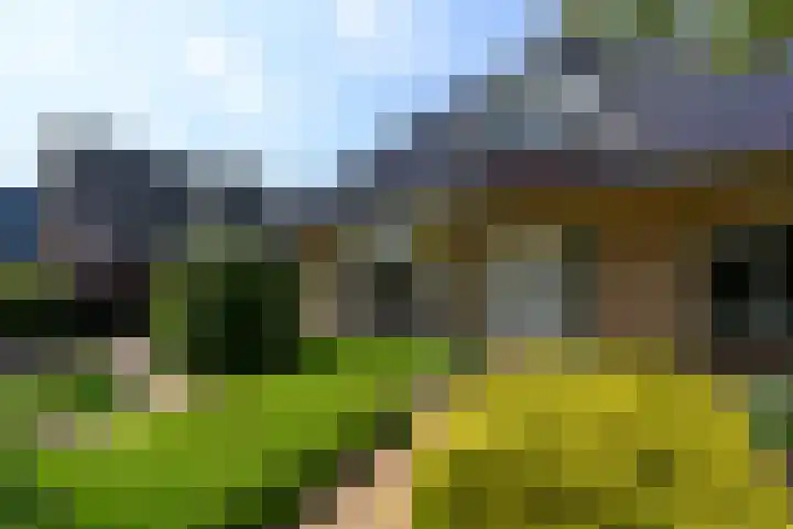 Himellof 6 Buitenpost thumbnail 4
