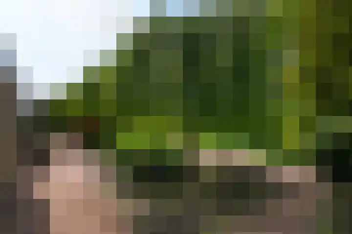 Himellof 6 Buitenpost thumbnail 40