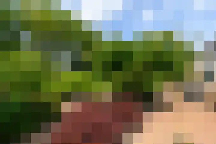Himellof 6 Buitenpost thumbnail 41