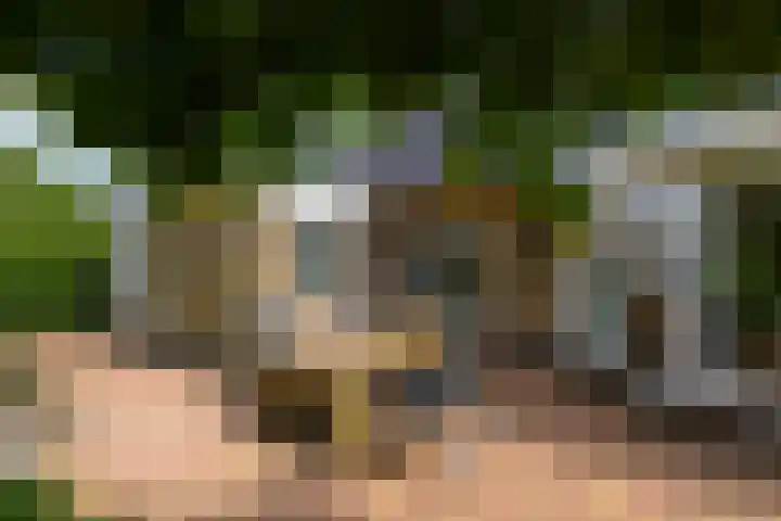 Himellof 6 Buitenpost thumbnail 42