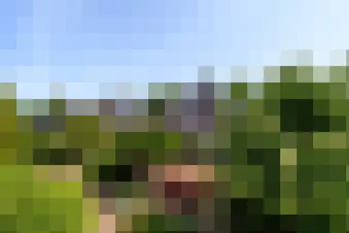Himellof 6 Buitenpost thumbnail 43