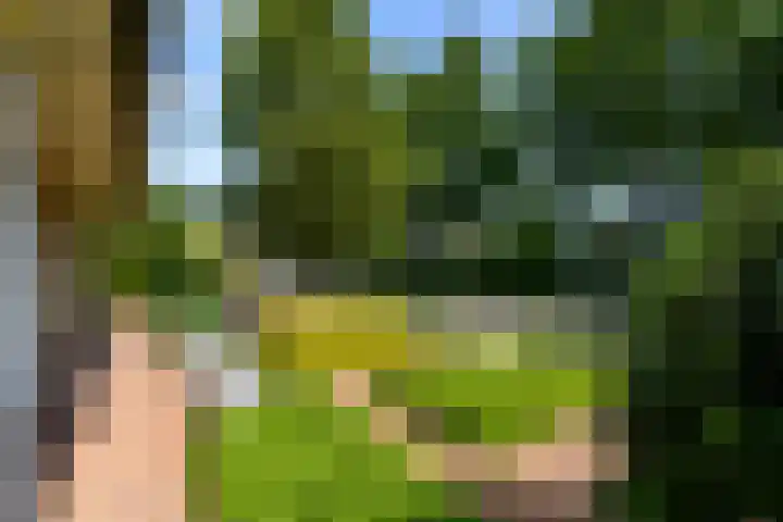 Himellof 6 Buitenpost thumbnail 44