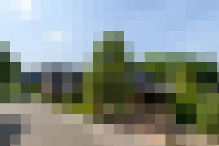 Himellof 6 Buitenpost thumbnail 45