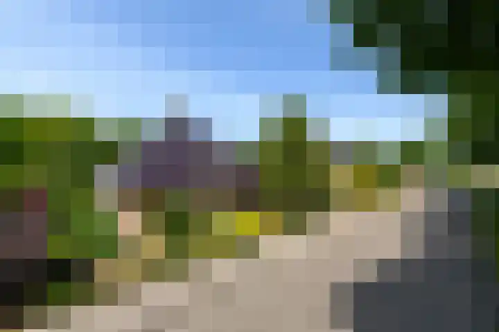 Himellof 6 Buitenpost thumbnail 46
