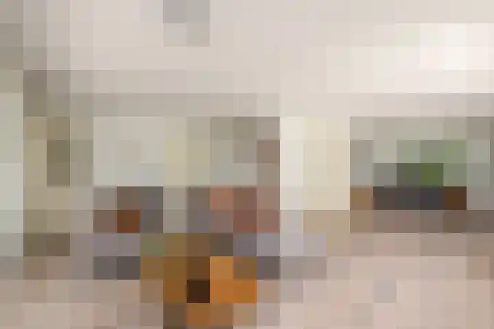 Himellof 6 Buitenpost thumbnail 8