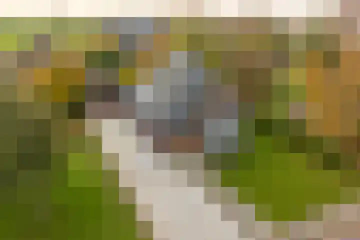 Himmelumerdyk 4 in Warns