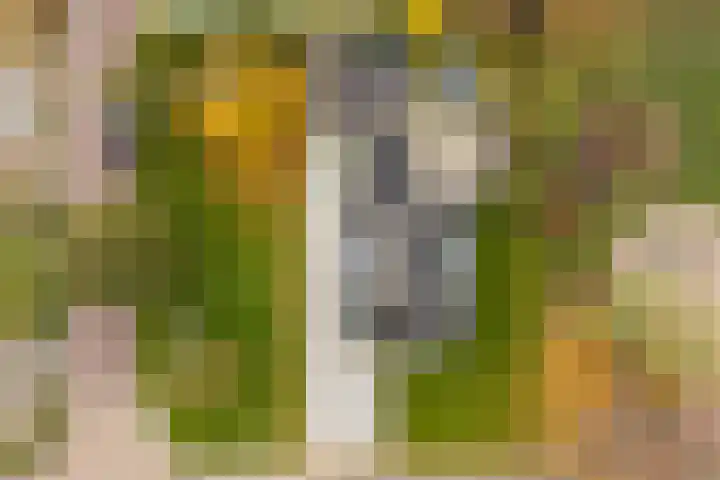 Himmelumerdyk 4 Warns foto 2