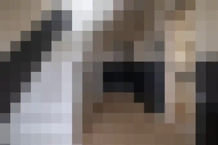 Himmelumerdyk 4 Warns thumbnail 20