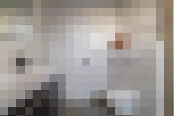 Himmelumerdyk 4 Warns thumbnail 26