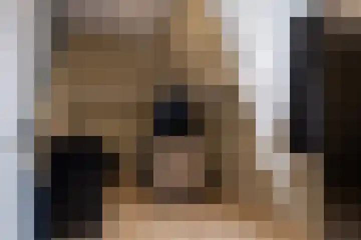 Himmelumerdyk 4 Warns thumbnail 27