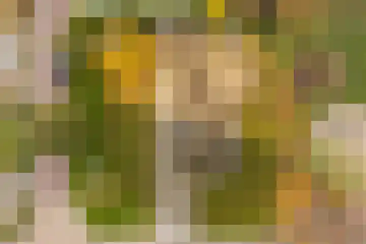 Himmelumerdyk 4 Warns foto 3