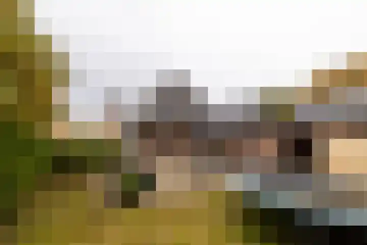 Himmelumerdyk 4 Warns thumbnail 38