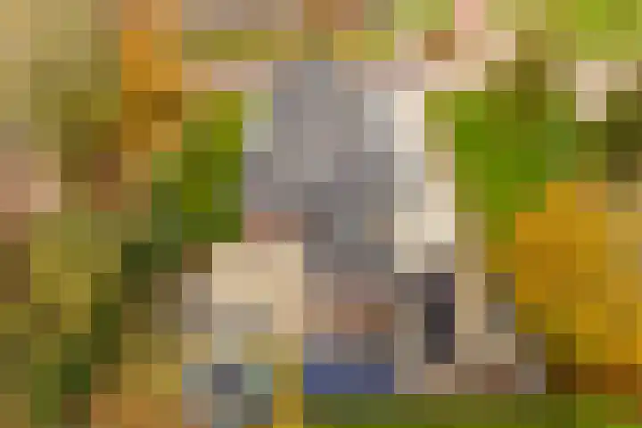 Himmelumerdyk 4 Warns thumbnail 40