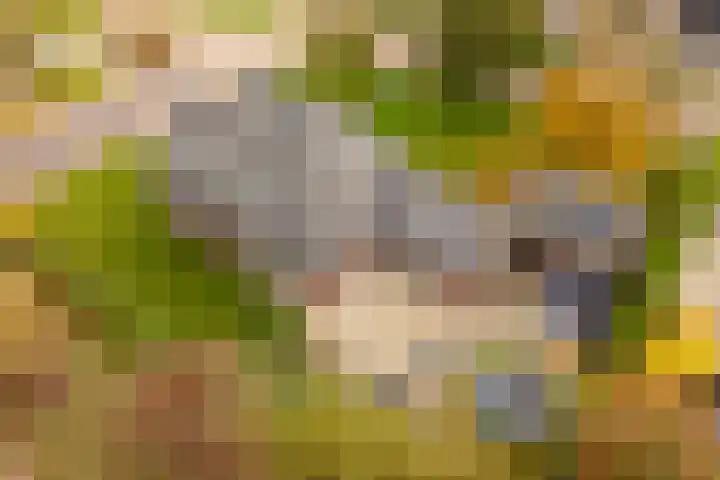 Himmelumerdyk 4 Warns thumbnail 41