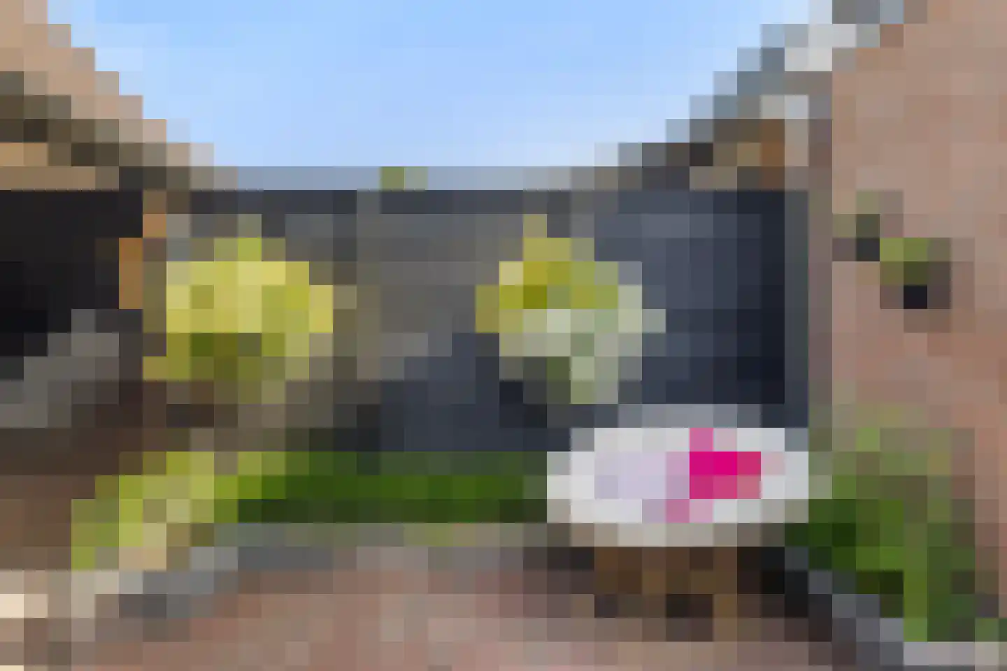 Hindelaan 10 Lunteren thumbnail 24