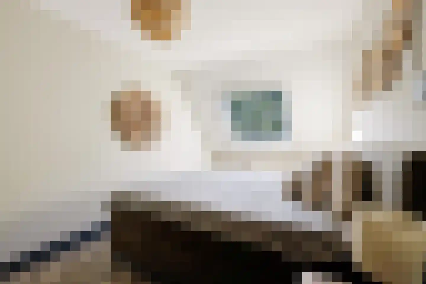 Hindelaan 11 Lunteren thumbnail 10