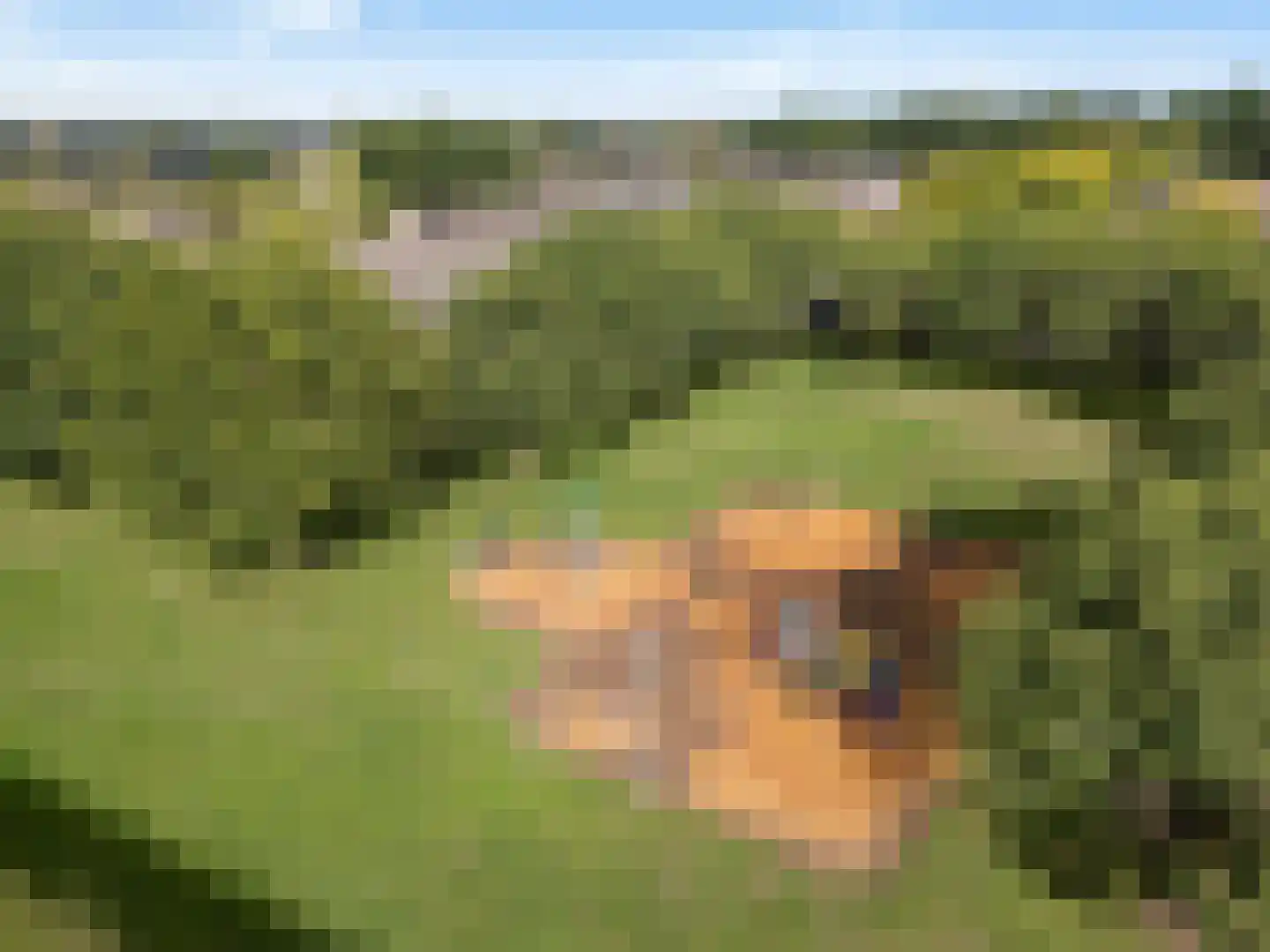 Hindelaan 11 Lunteren thumbnail 35