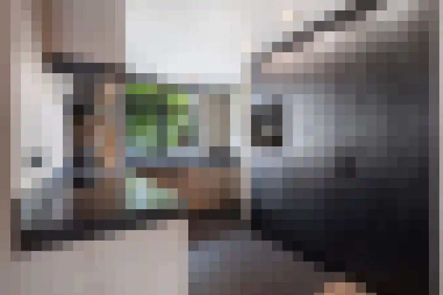 Hindelaan 11 Lunteren thumbnail 7