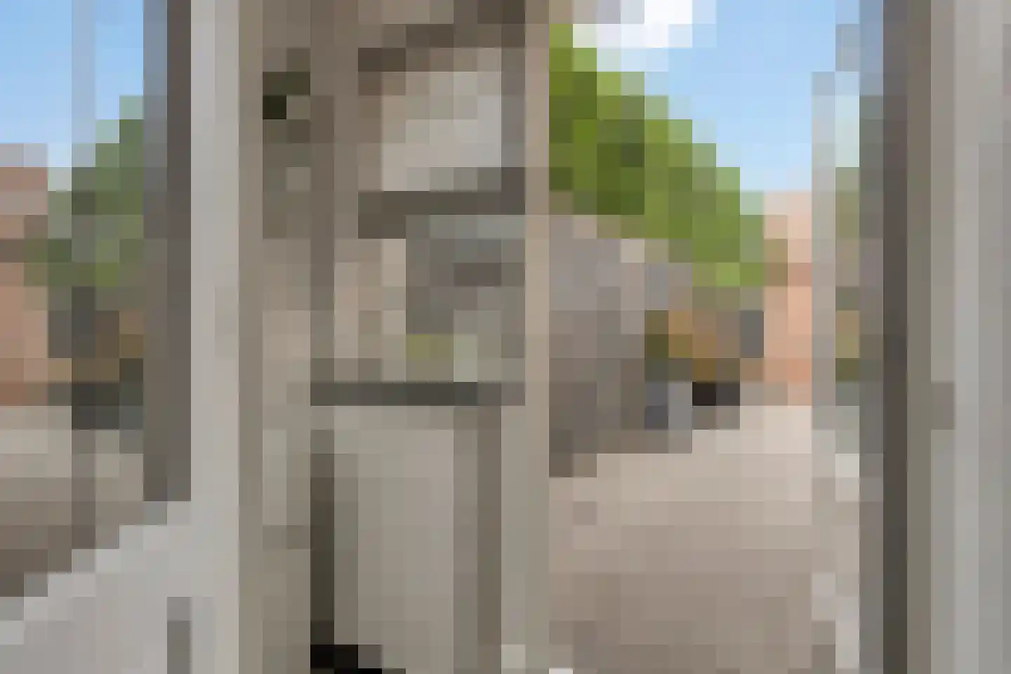 Hindelaan 12 Lunteren thumbnail 15