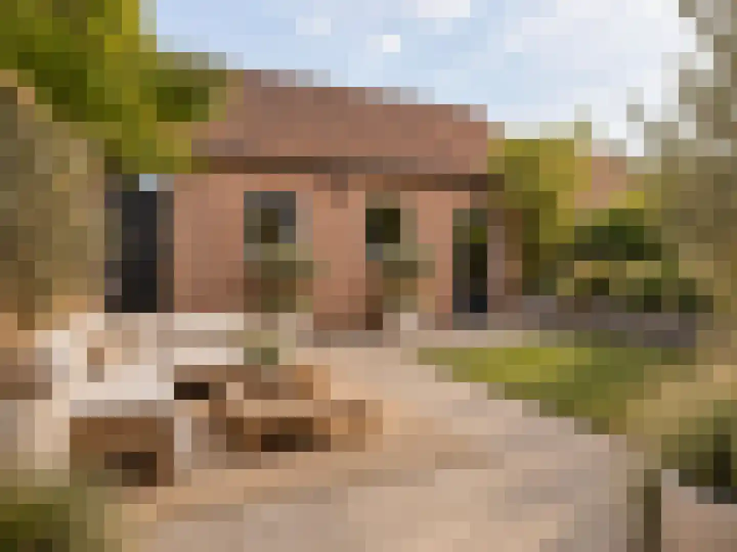 Hindelaan 12 Lunteren thumbnail 31