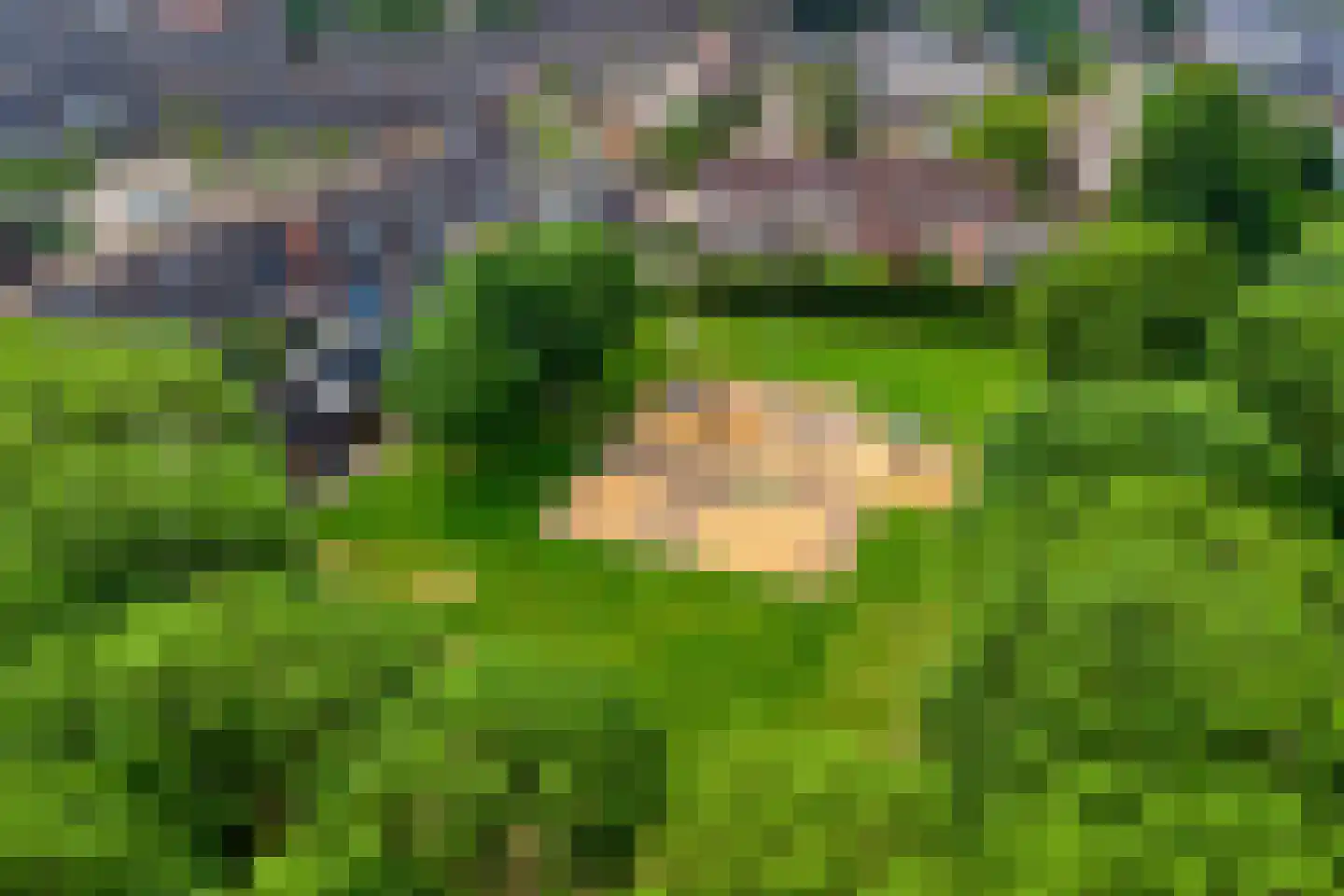 Hindelaan 12 Lunteren thumbnail 37