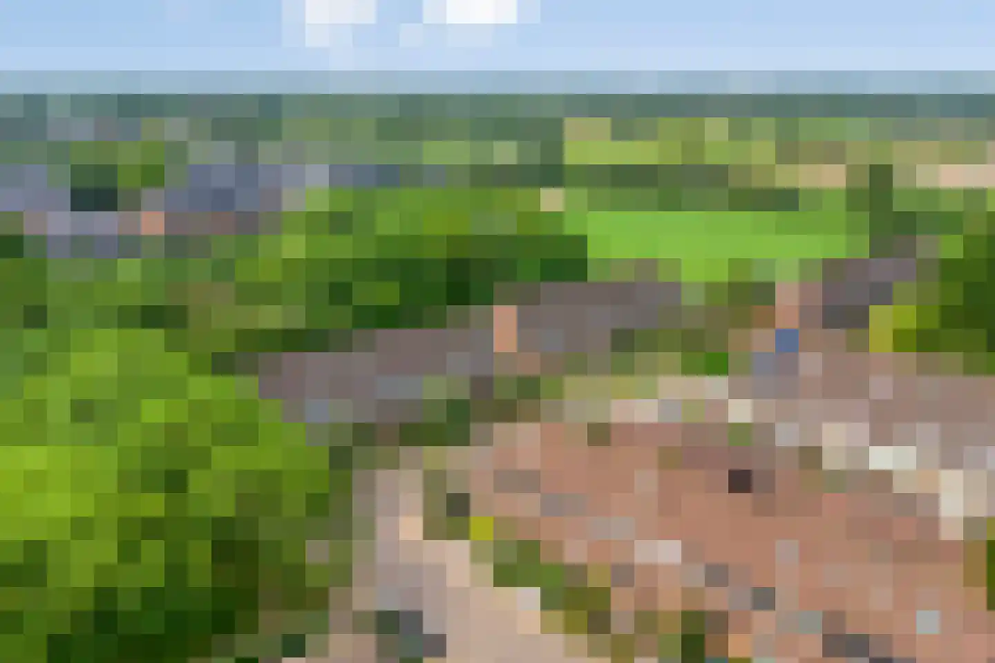Hindelaan 12 Lunteren thumbnail 41