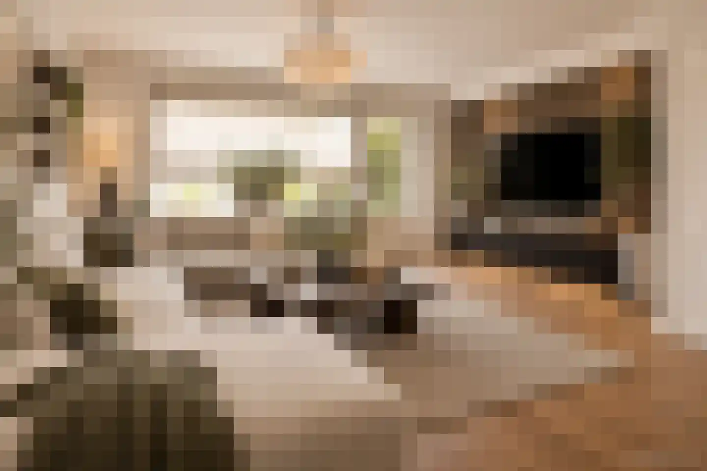 Hindelaan 12 Lunteren thumbnail 5