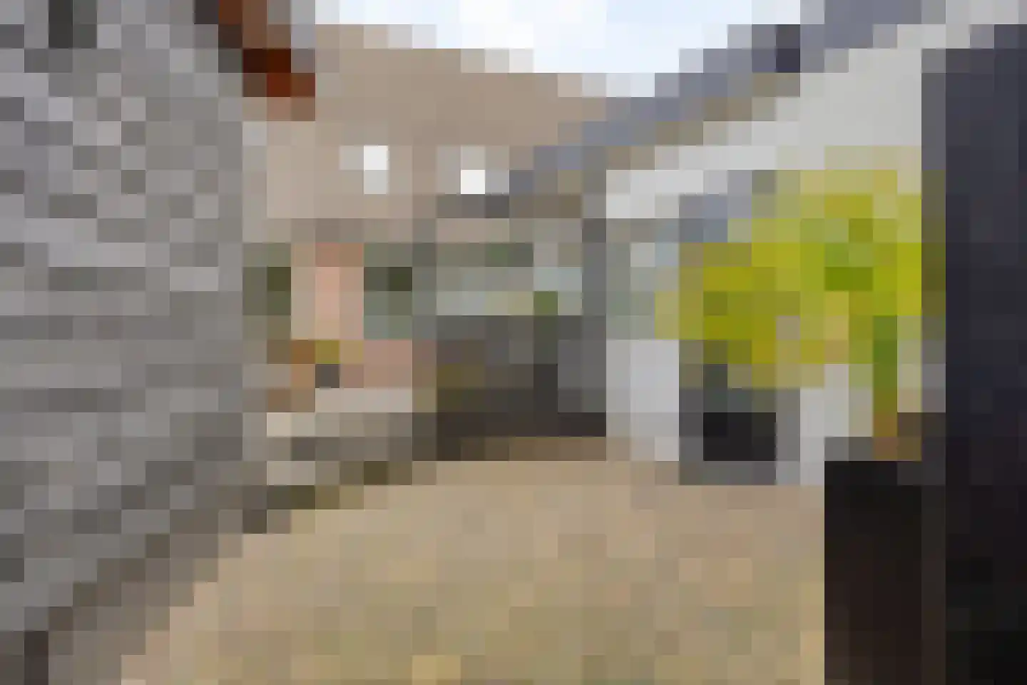 Hindelaan 23 Lunteren thumbnail 49