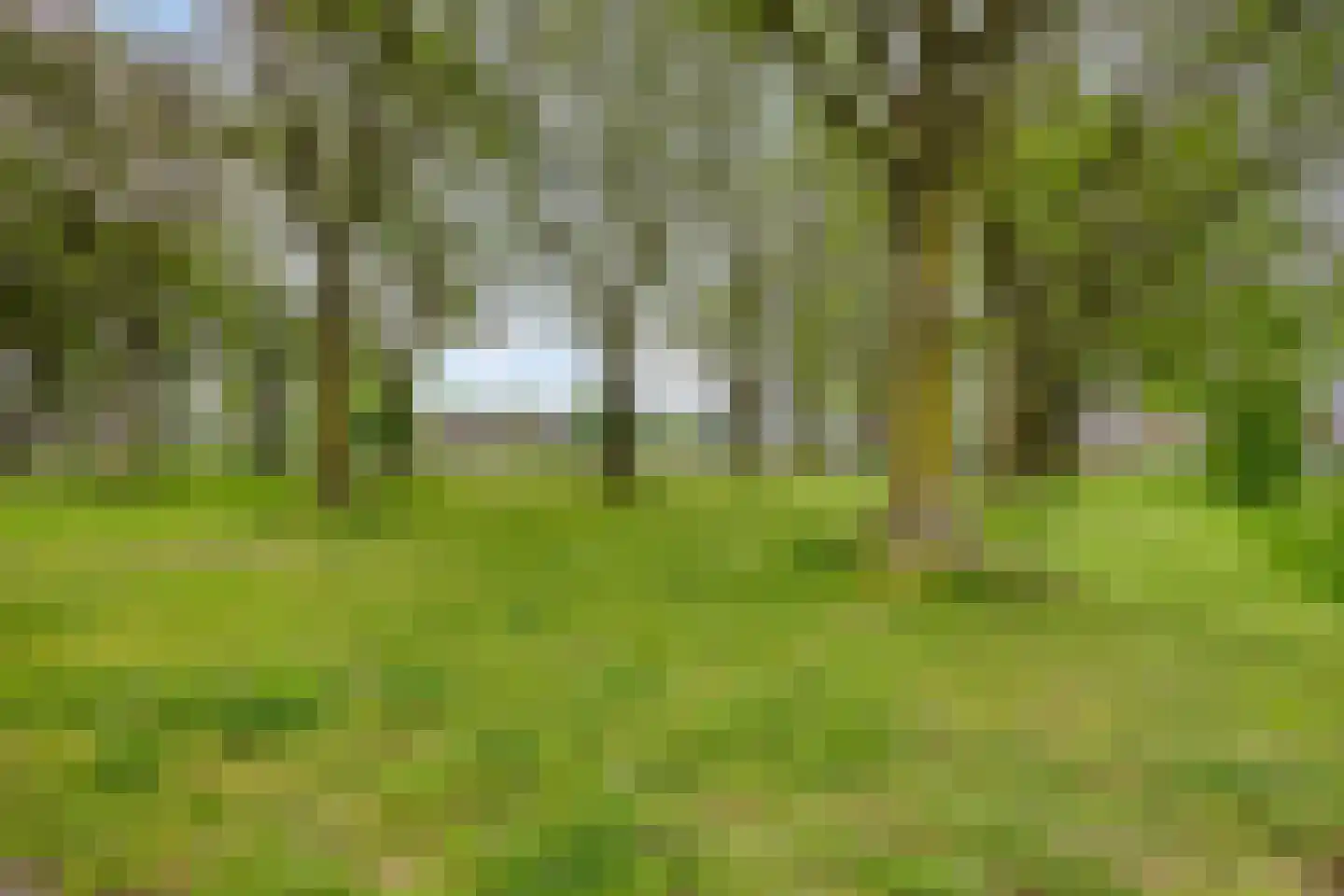 Hindelaan 23 Lunteren thumbnail 51
