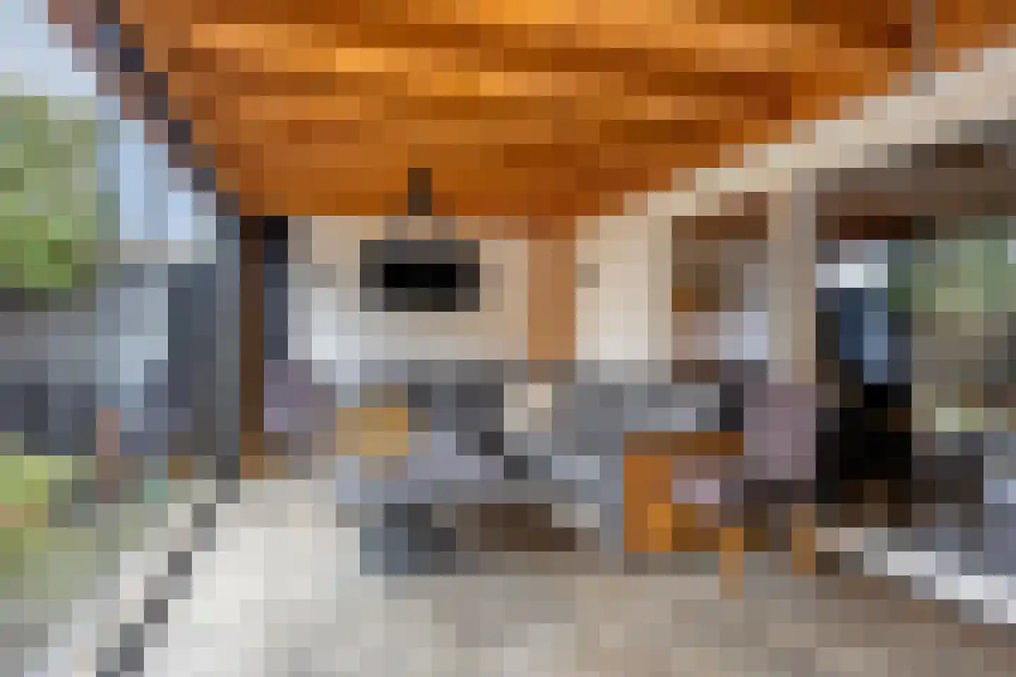 Hindelaan 25 Lunteren thumbnail 31
