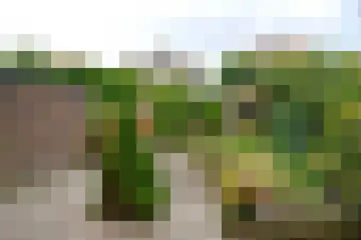 Hindelaan 27 Hilversum thumbnail 10