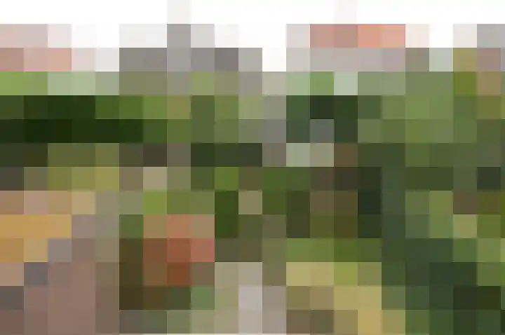 Hindelaan 27 Hilversum thumbnail 26