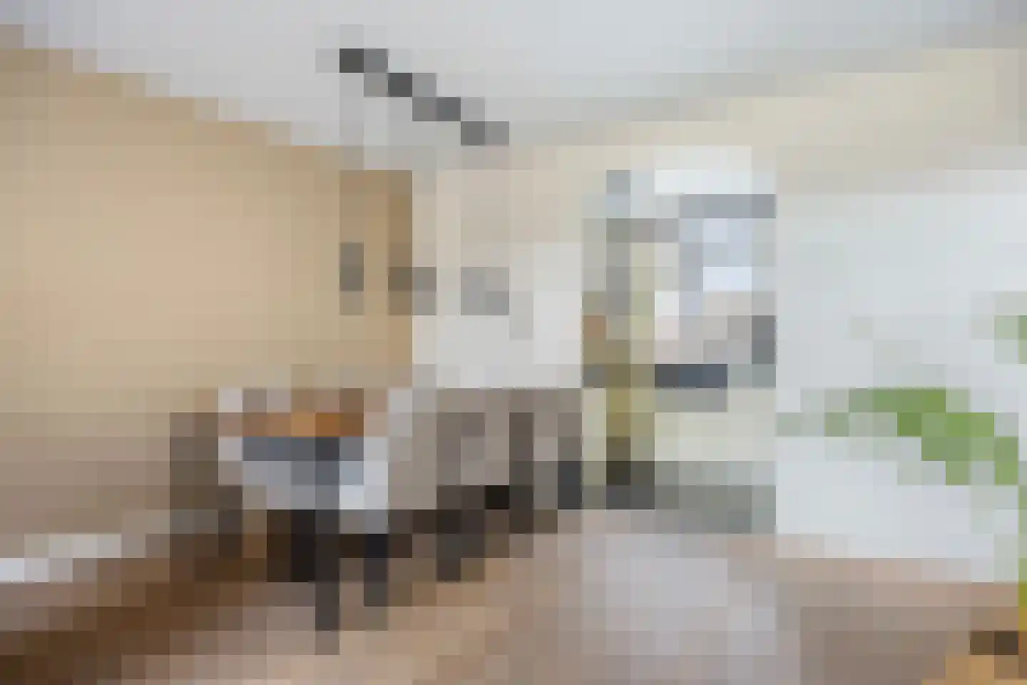 Hindelaan 27 Lunteren thumbnail 14
