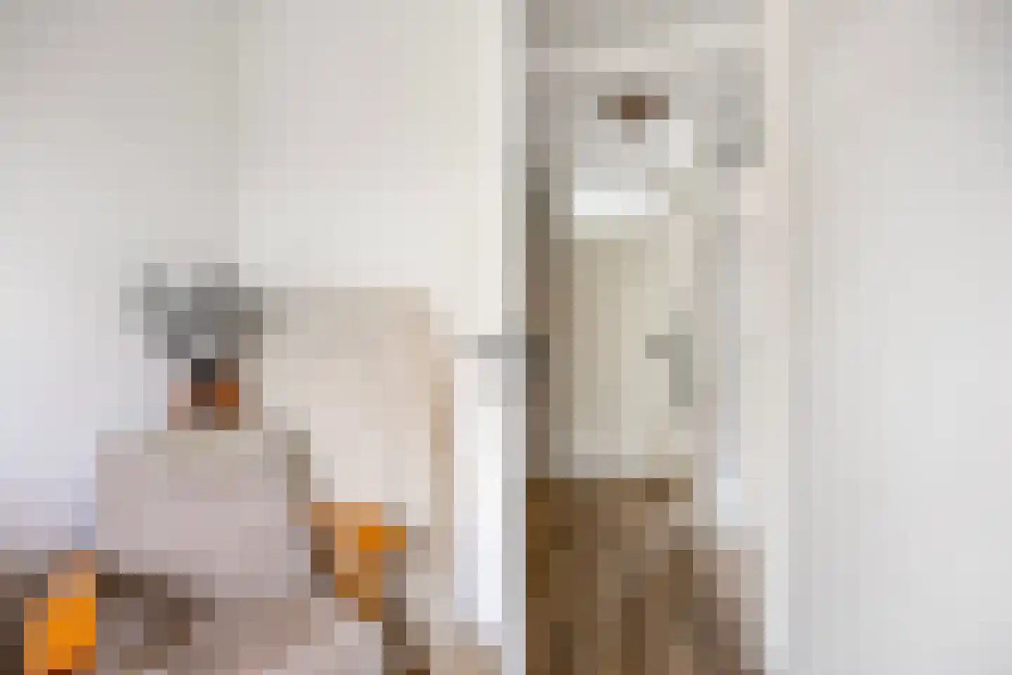 Hindelaan 27 Lunteren thumbnail 28