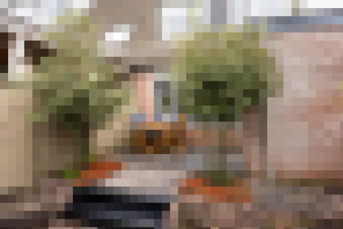 Hindelaan 27 Lunteren thumbnail 32