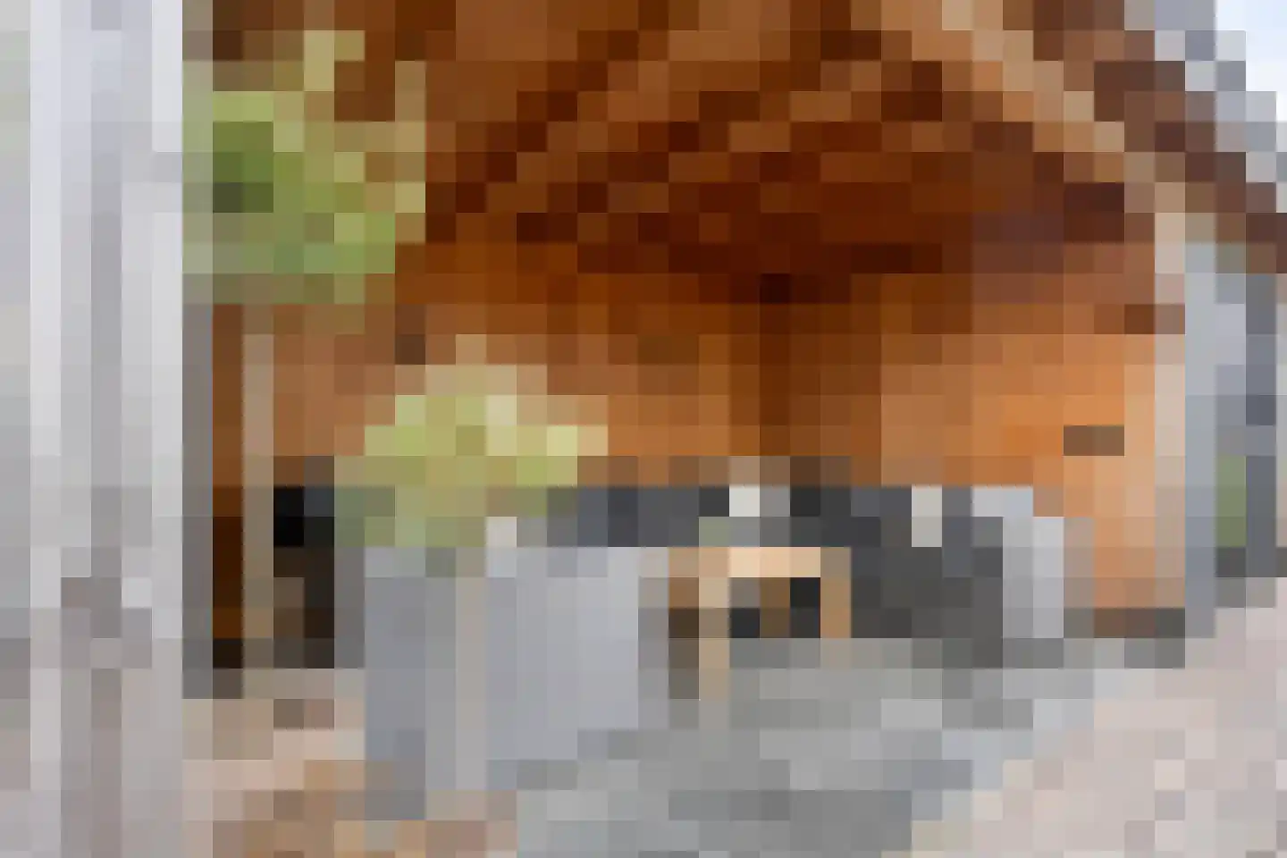 Hindelaan 27 Lunteren thumbnail 36