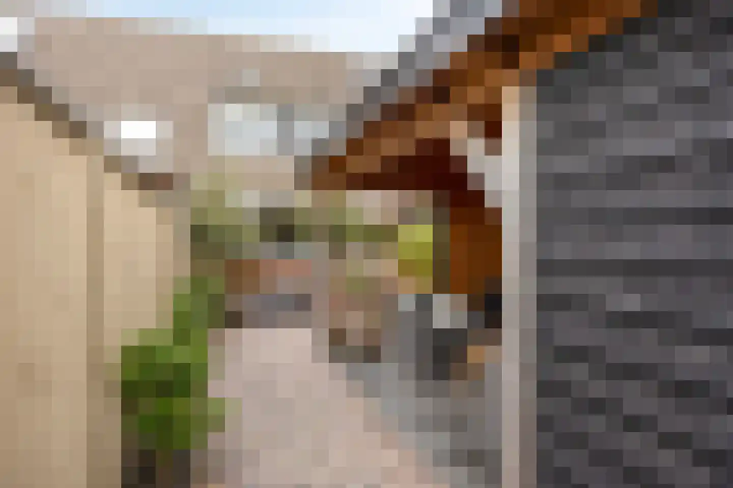 Hindelaan 27 Lunteren thumbnail 37
