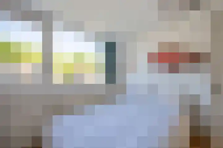 Hindelaan 30 Hilversum thumbnail 37