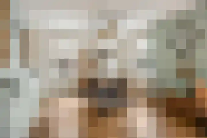 Hindelaan 69 Lunteren thumbnail 12