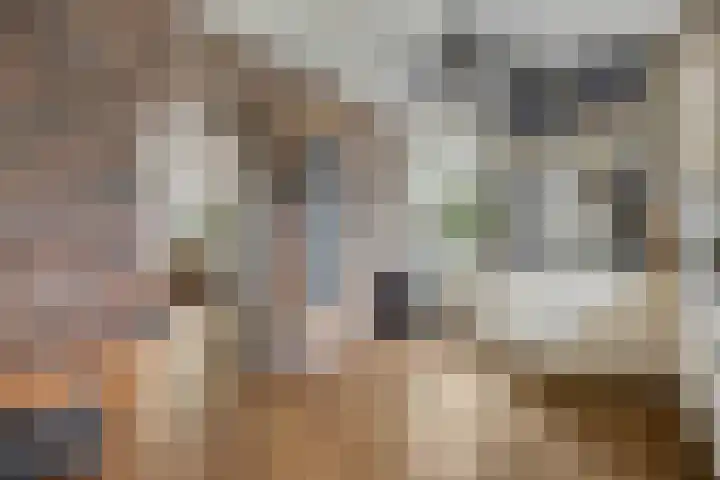 Hindelaan 69 Lunteren thumbnail 17
