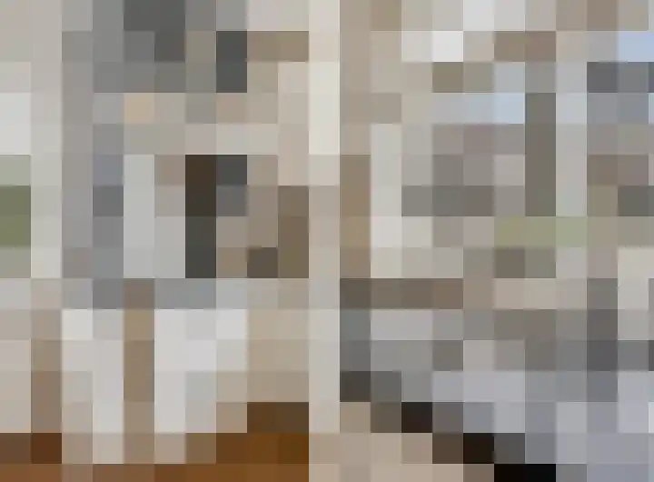 Hindelaan 69 Lunteren thumbnail 21