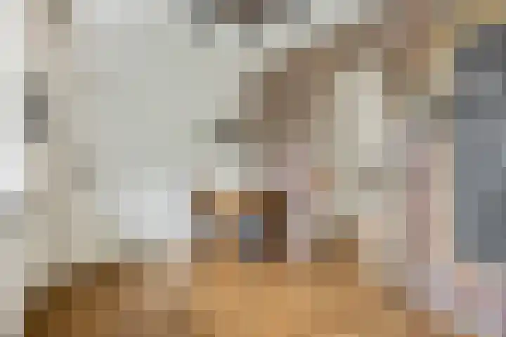 Hindelaan 69 Lunteren thumbnail 22