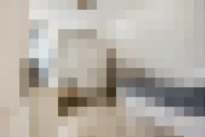Hindelaan 69 Lunteren thumbnail 33