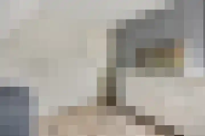 Hindelaan 69 Lunteren thumbnail 34